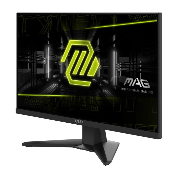 MSI Écran gaming de 23,8 pouces MAG 244F FHD 200HZ 100144387