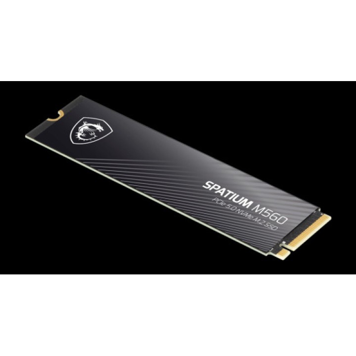 MSI SSD interne M.2 NVMe PCIe 5.0 SPATIUM-M560 2TB 10300MB/S
