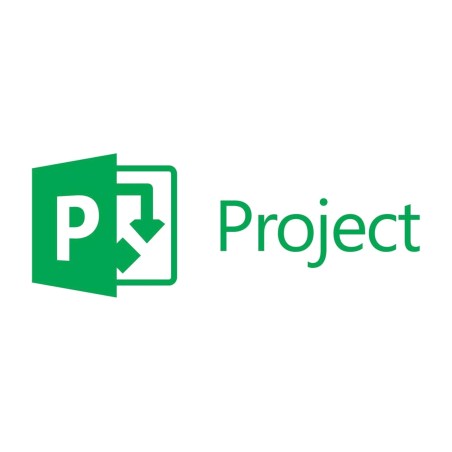 licence de logiciel professionnel de gestion de projet project-professional-2024 esd