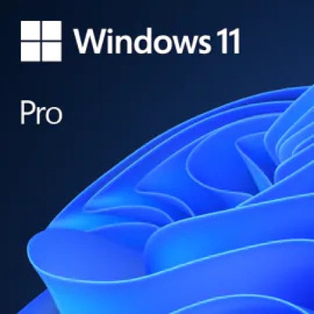 licenza digitale del sistema operativo professionale windows-11 pro 64-bits esd