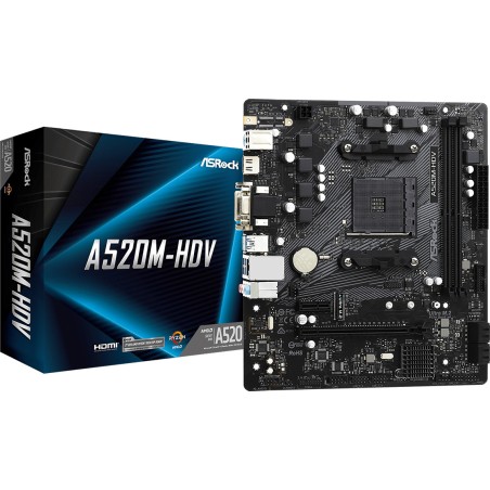 carte mère micro atx a520m-hdv am4