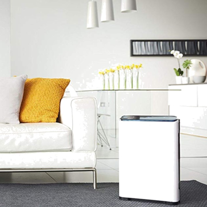 HONEYWELL Purificador de aire premium con prefiltro