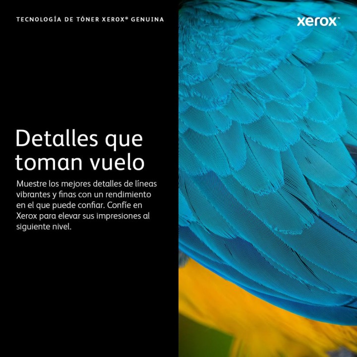 XEROX Cartuccia toner nera a capacità standard B305 B310