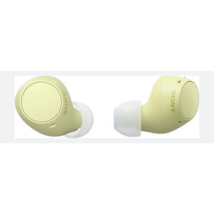 SONY Brezžične Bluetooth slušalke s polnilnim etuijem