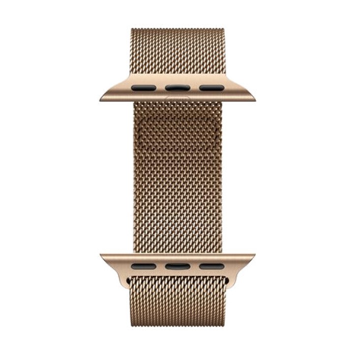 APPLE Smartwatch mit Titangehäuse, GPS und