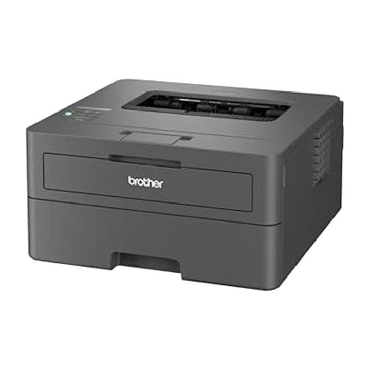 BROTHER Monochrom-Laserdrucker HL-L2400DWE A4 WI-FI