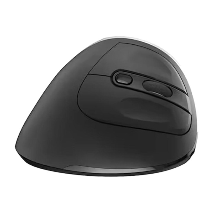 EWENT Ergonomische kabellose Maus mit sechs Tasten EW3229