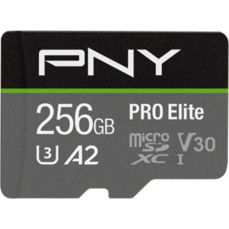 carte mémoire microsdxc pro-elite 256gb c10 uhs-i u3 v30 a2