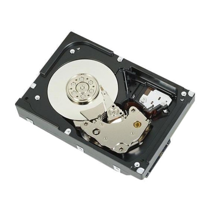 DELL Disque dur interne pour serveur 1TB 3,5" SATA-7200RPM