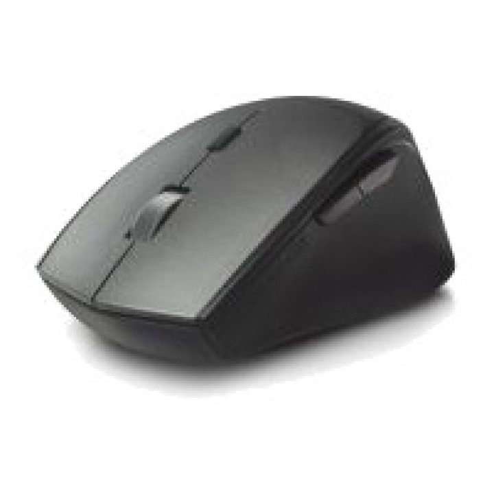 EWENT Mouse wireless silenzioso con doppio ricevitore EW3245