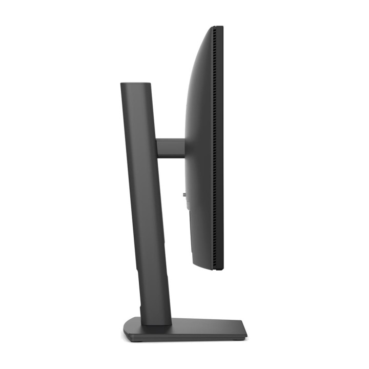 DELL Moniteur IPS professionnel PRO PLUS P2426H 23,8" FHD