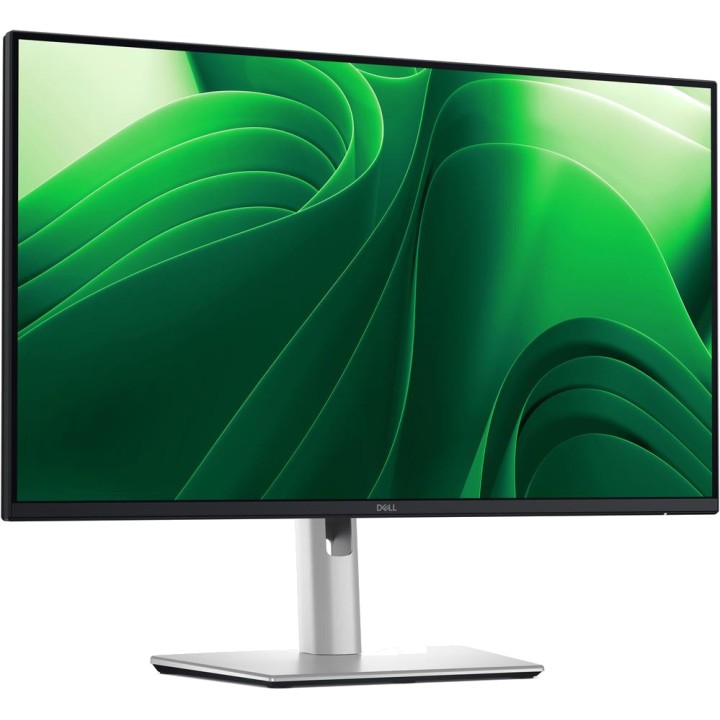 DELL Monitor IPS professionale PRO PLUS P2425D 23,8" QHD
