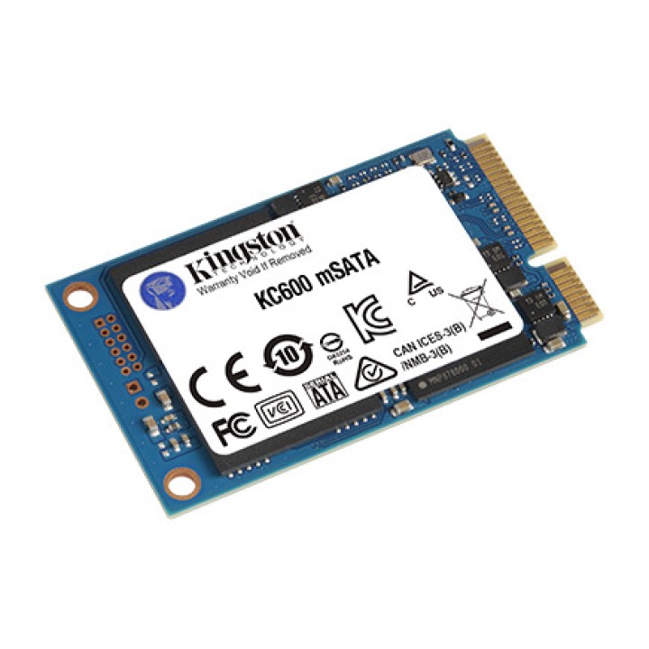 KINGSTON Interne mSATA-SSD KC600 256GB MGS0000003070