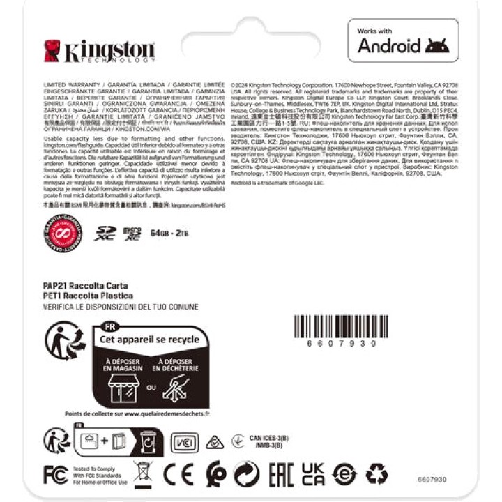 KINGSTON Carte mémoire microSDXC avec adaptateur SD CANVAS