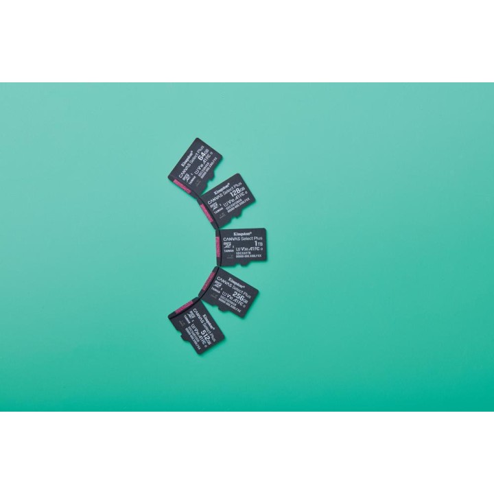 KINGSTON Carte mémoire microSDXC avec adaptateur SD CANVAS