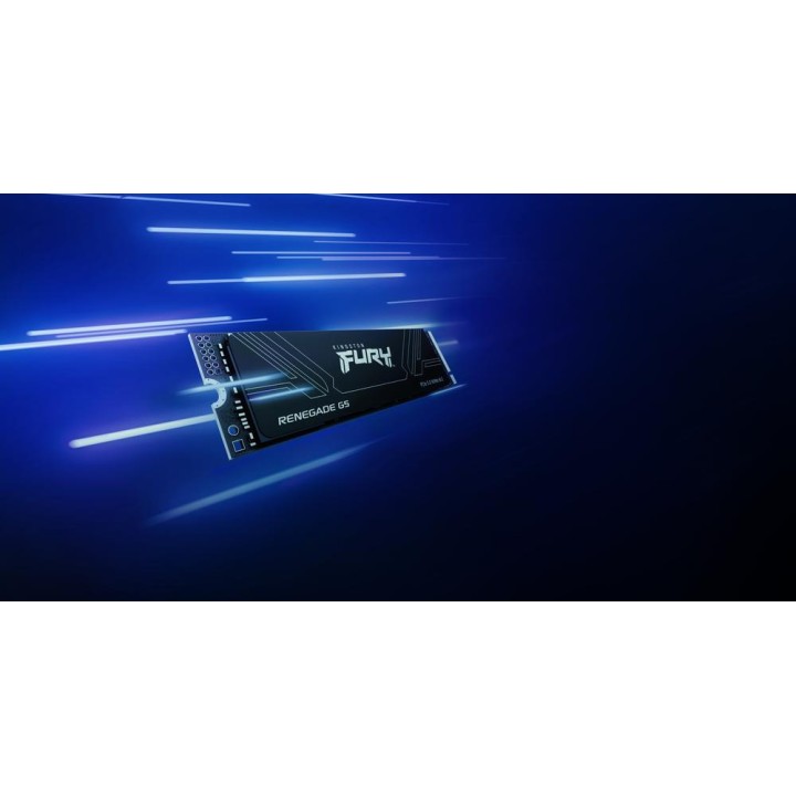 KINGSTON SSD M.2 NVMe FURY-RENEGADE G5 1TB 2280