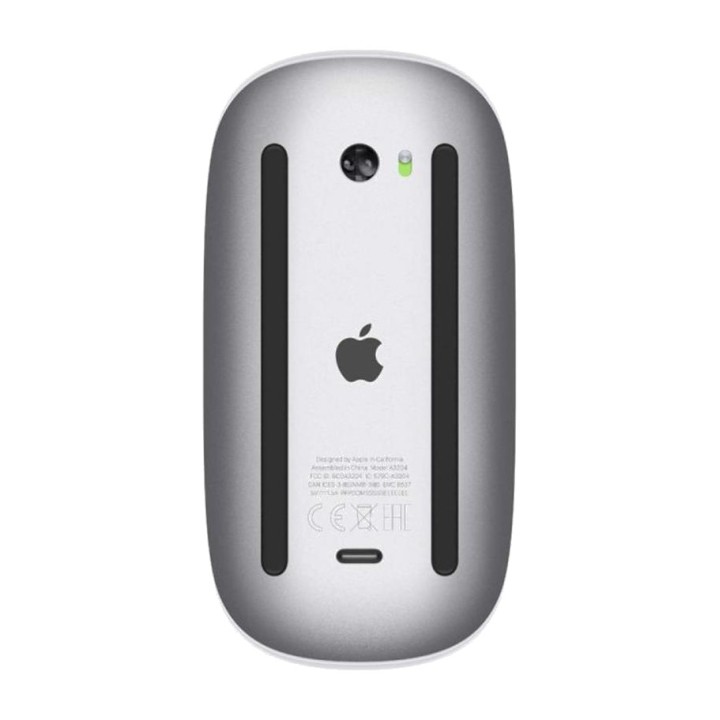 APPLE Souris sans fil rechargeable avec surface Multi-Touch