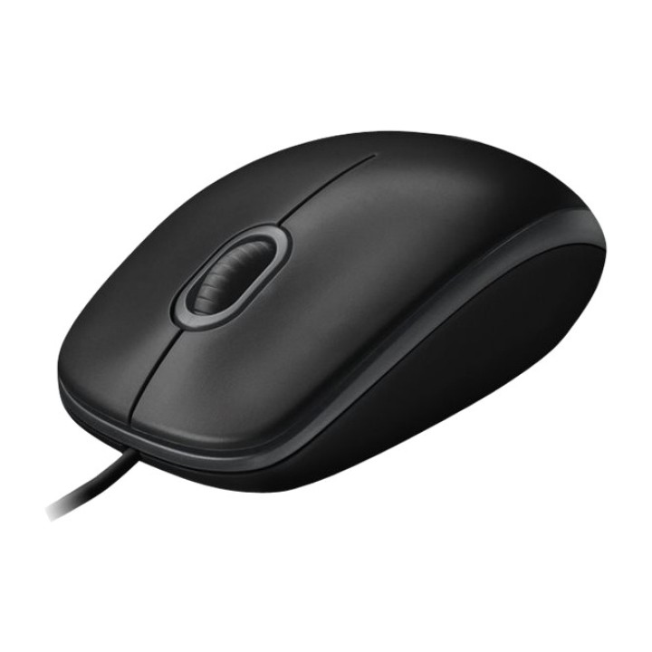 LOGITECH Ratón óptico con cable USB B100 800DPI