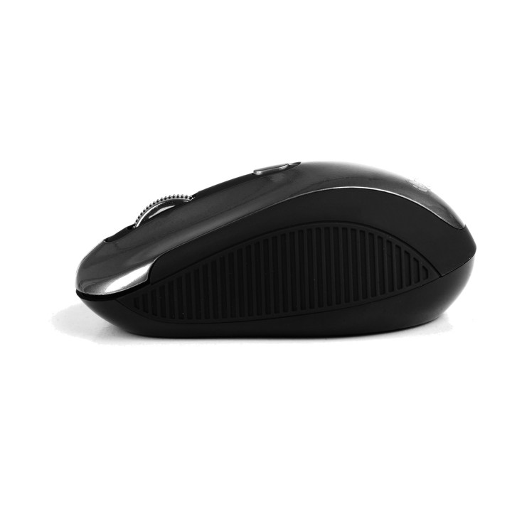 NGS Souris optique sans fil à 3 boutons avec nano-récepteur
