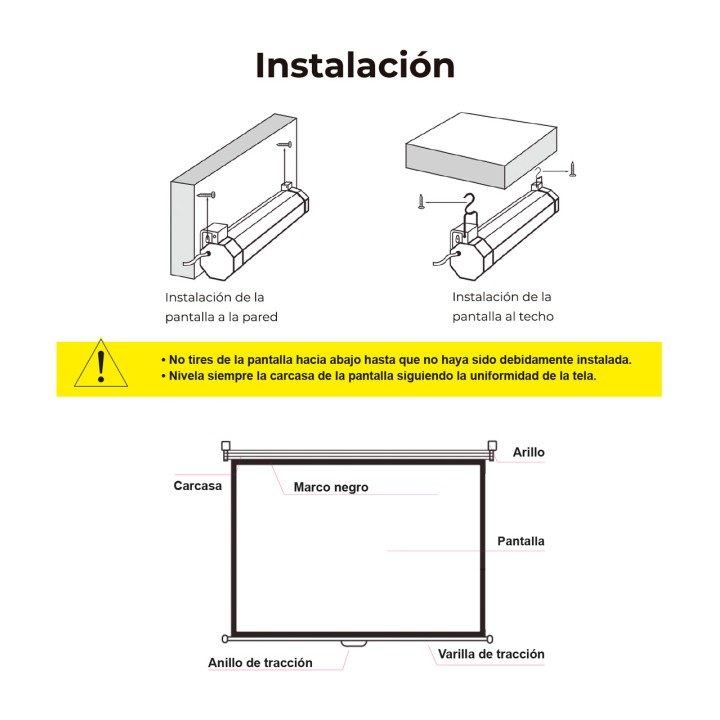 PHOENIX Manual retractable projection screen for wall and