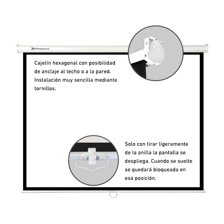 PHOENIX Foldable manual projection screen for wall and