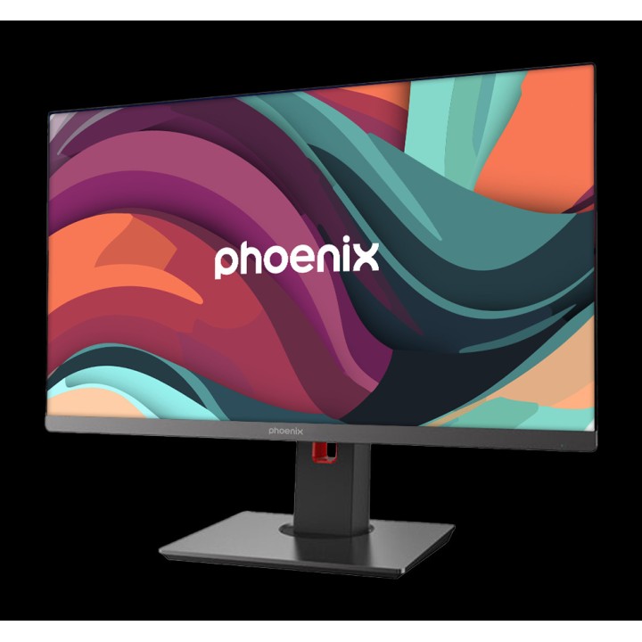 PHOENIX Computer All in One da 23,8 pollici con altezza