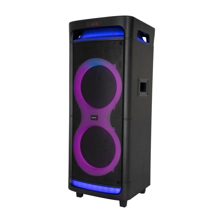 PHOENIX Altoparlante trolley Bluetooth con batteria, 2