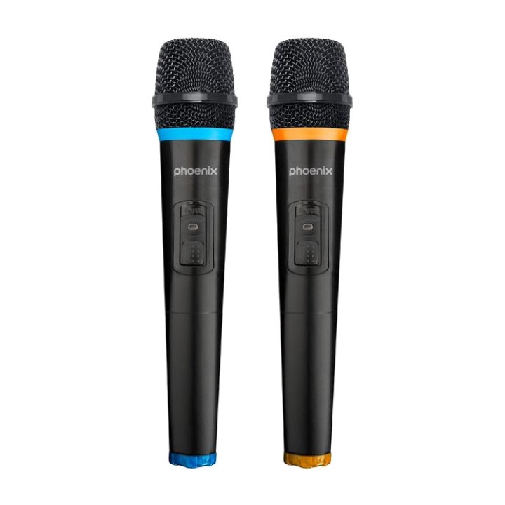 PHOENIX Bluetooth trolley speaker with battery, 2 wireless