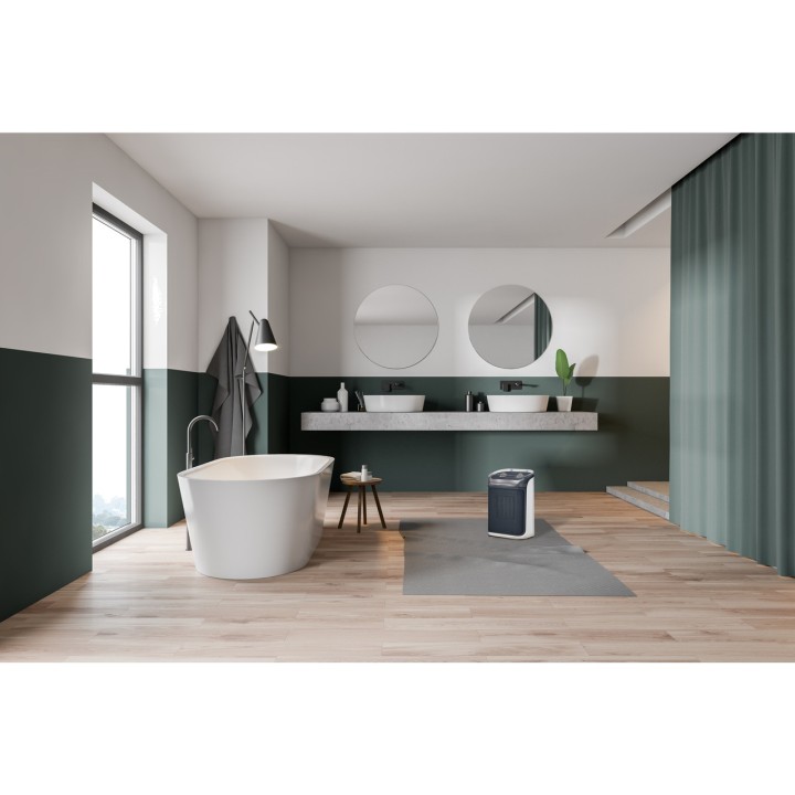 ROWENTA Ceramic bathroom heater with thermostat