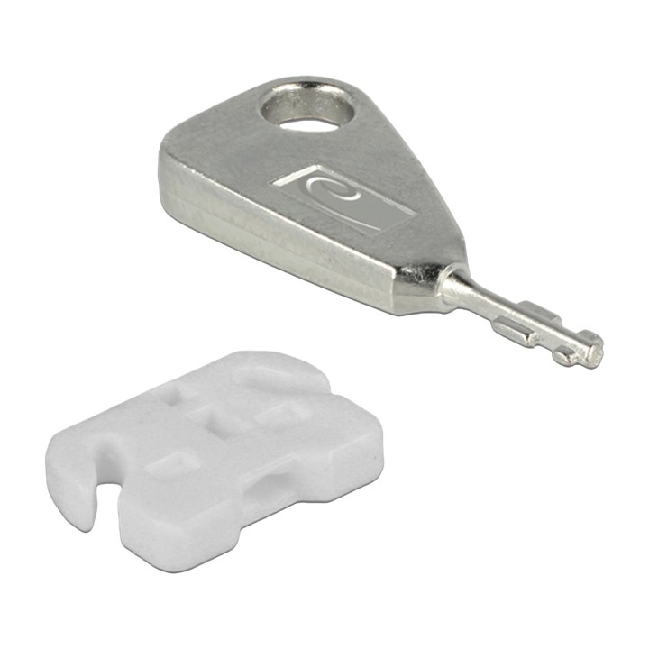 DELOCK Bloqueur de port USB Type-A avec outil de retrait
