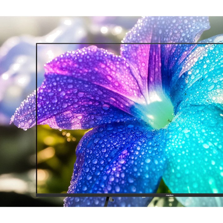 MEDION 55-Zoll-QLED-Smart-TV LIFE MD 855602 4K-UHD 100225898