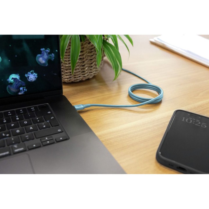 ANSMANN Câble magnétique en silicone avec connecteurs USB-C