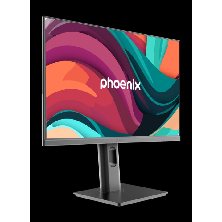 PHOENIX Monitor IPS Full HD ESSENCE-24-PRO 23,8" 100HZ