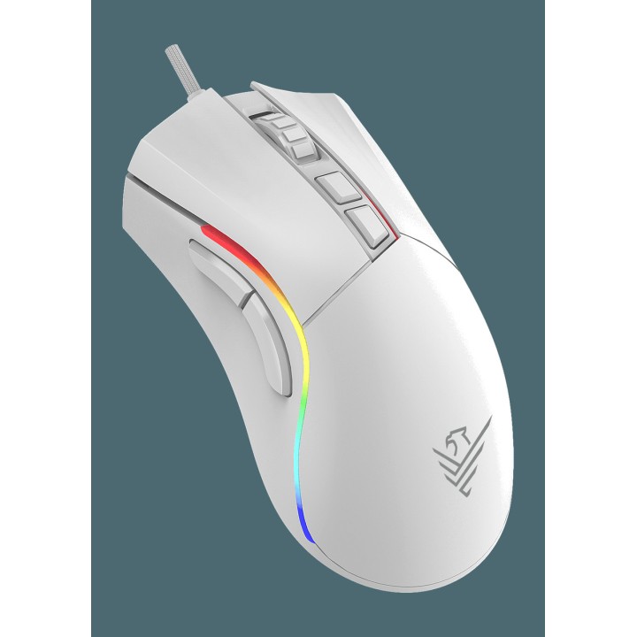PHOENIX Souris gaming configurable avec câble USB et