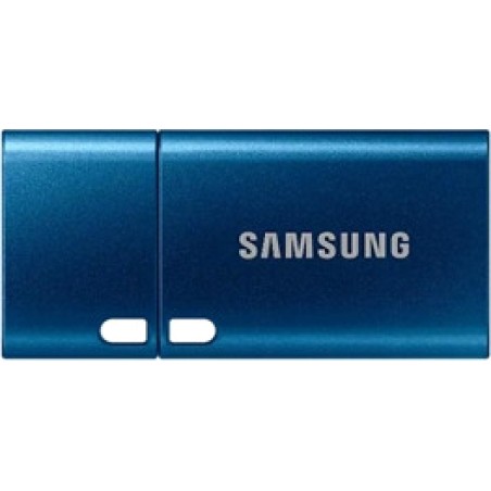 memoria usb-c 3.2 type-c 256gb muf-256da