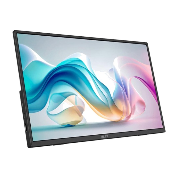 MSI Monitor portátil de 15,6 pulgadas PRO MP165-E6 FHD-IPS