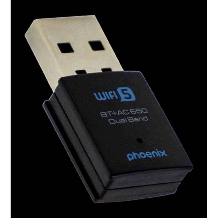 PHOENIX 2-in-1 Nano-USB-WLAN- und Bluetooth-Adapter WA-650MB