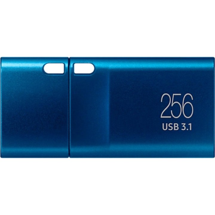 SAMSUNG Pomnilnik USB-C 3.2 TYPE-C 256GB MUF-256DA 1830455