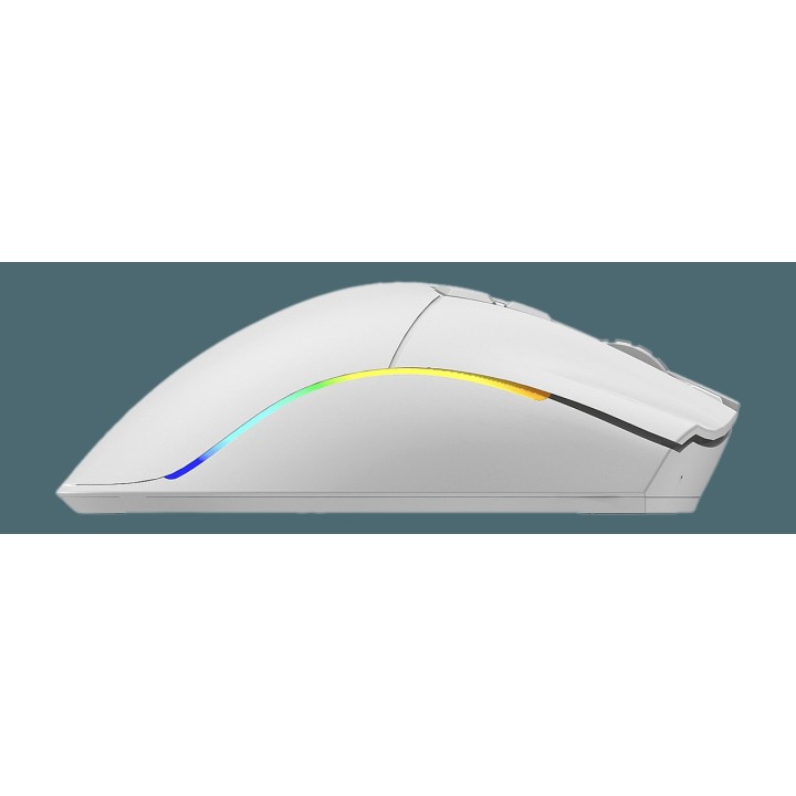 PHOENIX High-performance wireless gaming mouse VOID-ELITE