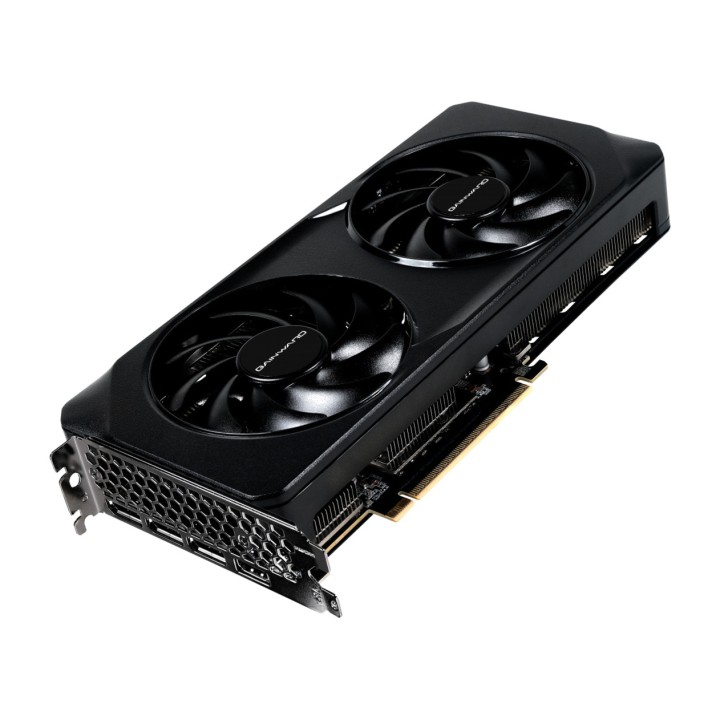 GAINWARD Carte graphique pour PC GEFORCE-RTX 5060 GHOST-OC