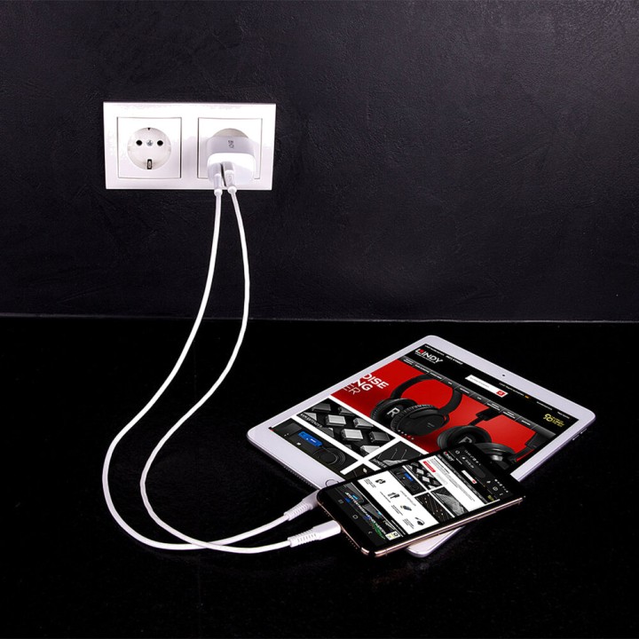LINDY Επιτοίχιος φορτιστής USB με δύο θύρες A-C PD 20W