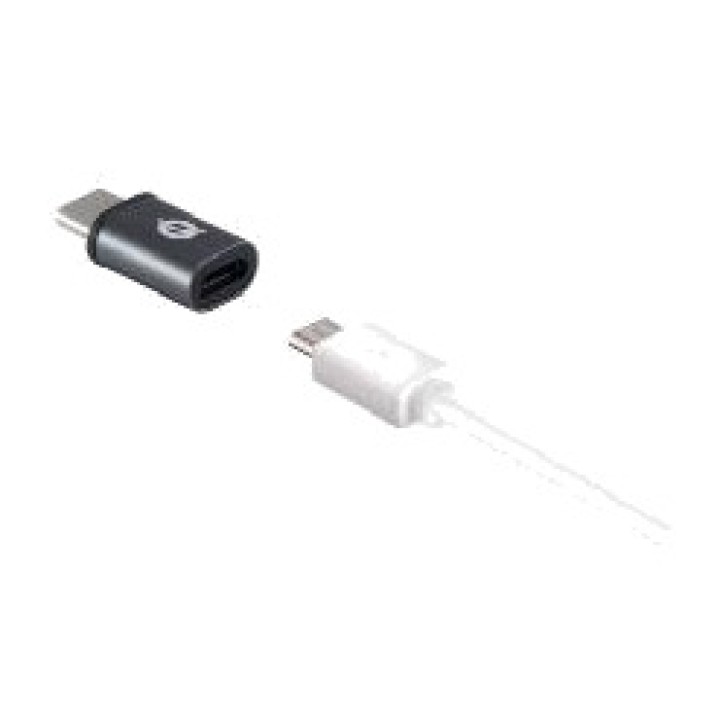 CONCEPTRONIC Kit of 2 OTG adapters, USB-C male to USB-A and
