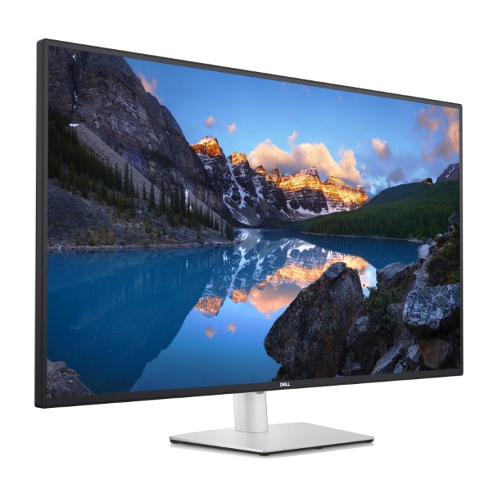 DELL Monitor IPS professionale di grande formato con hub