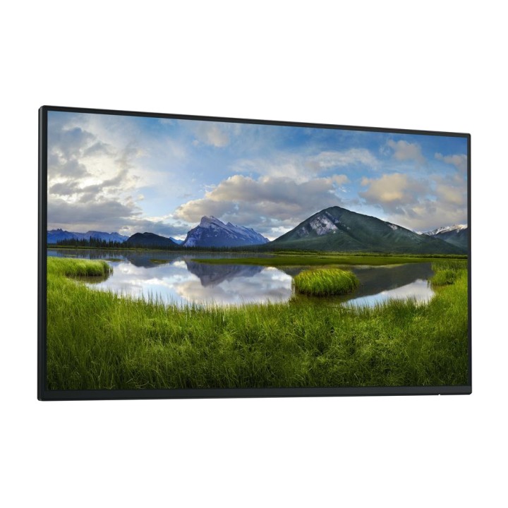 DELL Monitor profesional IPS sin soporte de mesa P2425H 23,8" FHD 100HZ DSP0000033795