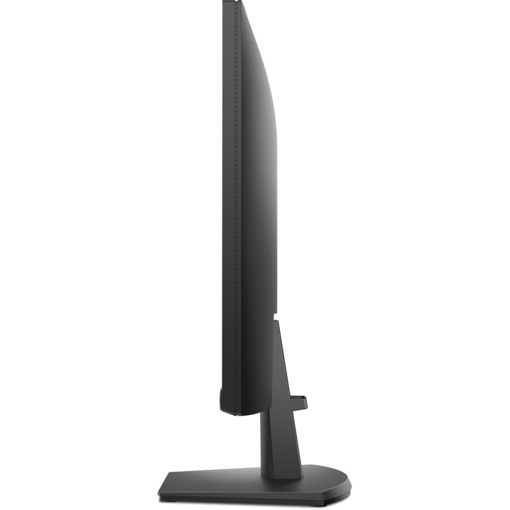 DELL Professional IPS monitor SE2425HM 23,8" FHD 100HZ