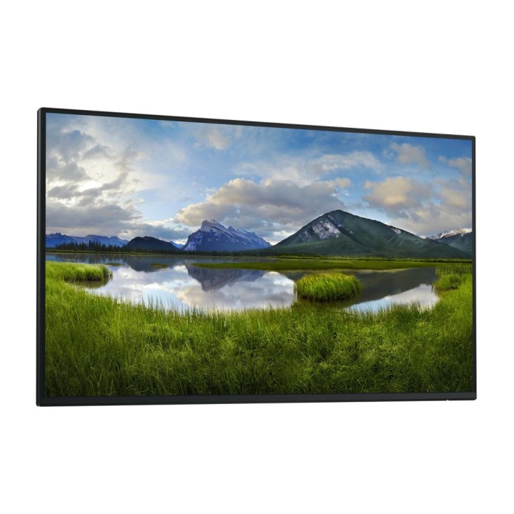 DELL Moniteur IPS professionnel sans pied de bureau P2725H