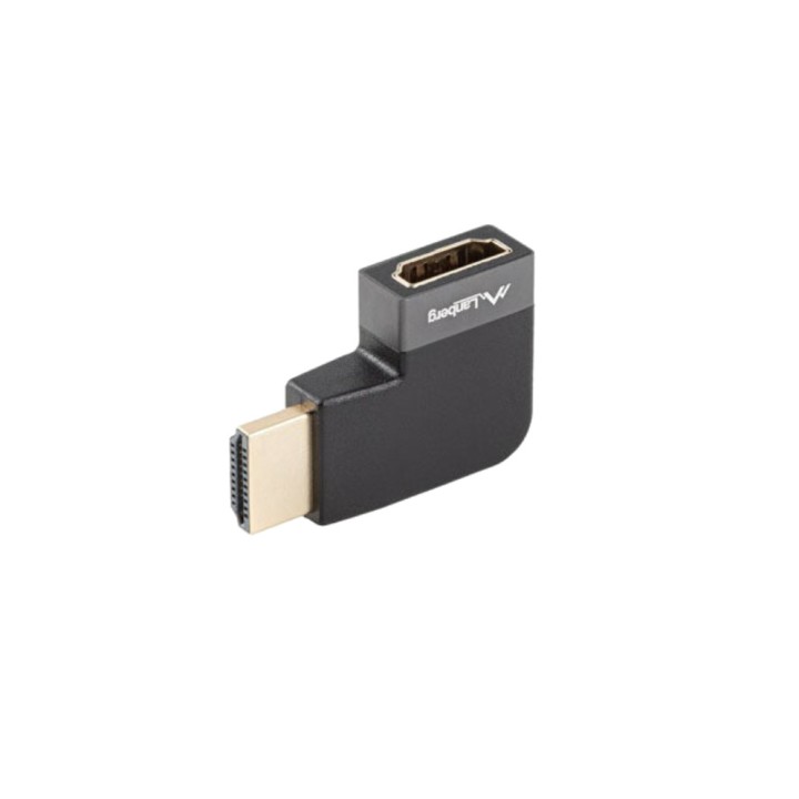 LANBERG Nach rechts abgewinkelter Videoadapter mit Stecker