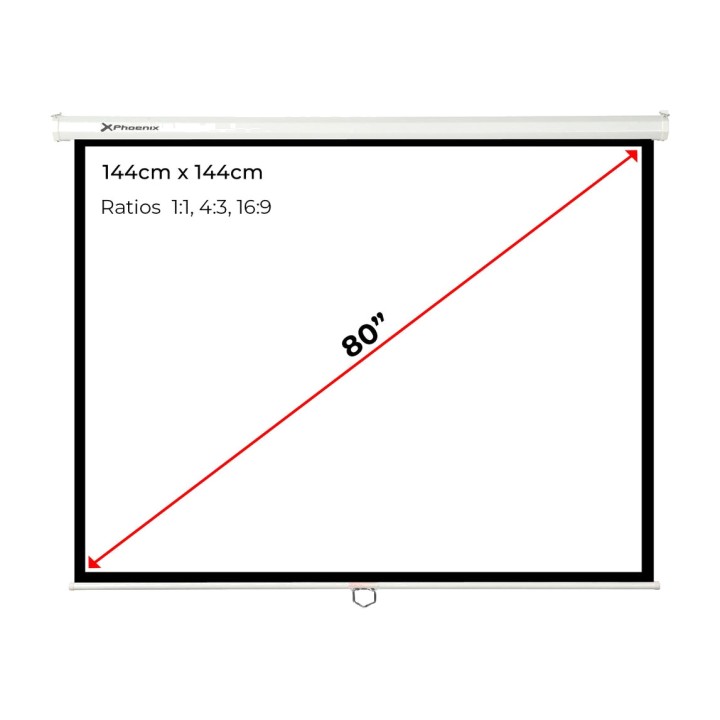PHOENIX Manual retractable projection screen for wall and