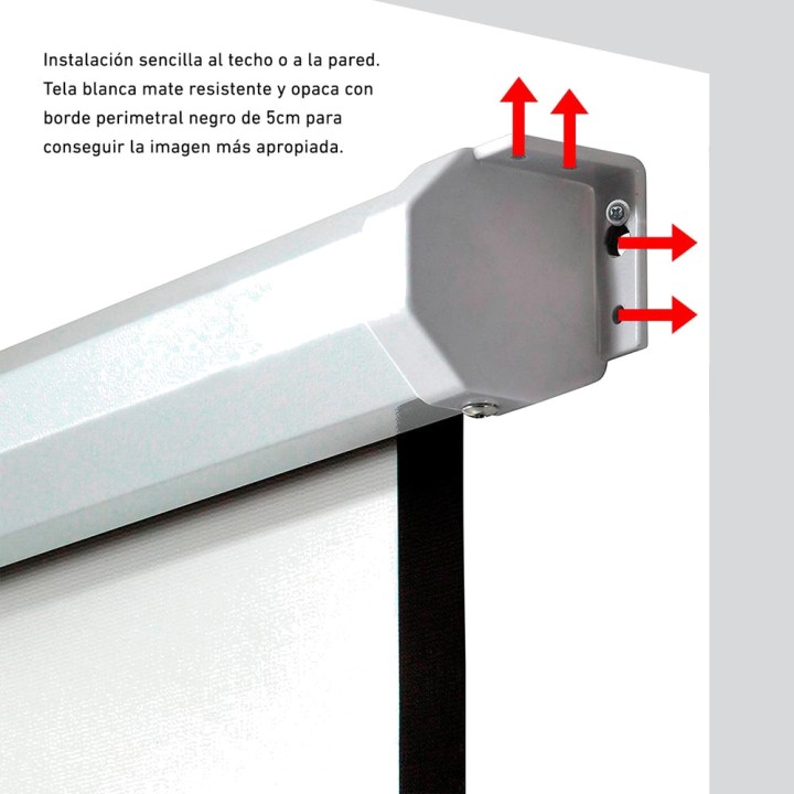 PHOENIX Manual retractable projection screen for wall and