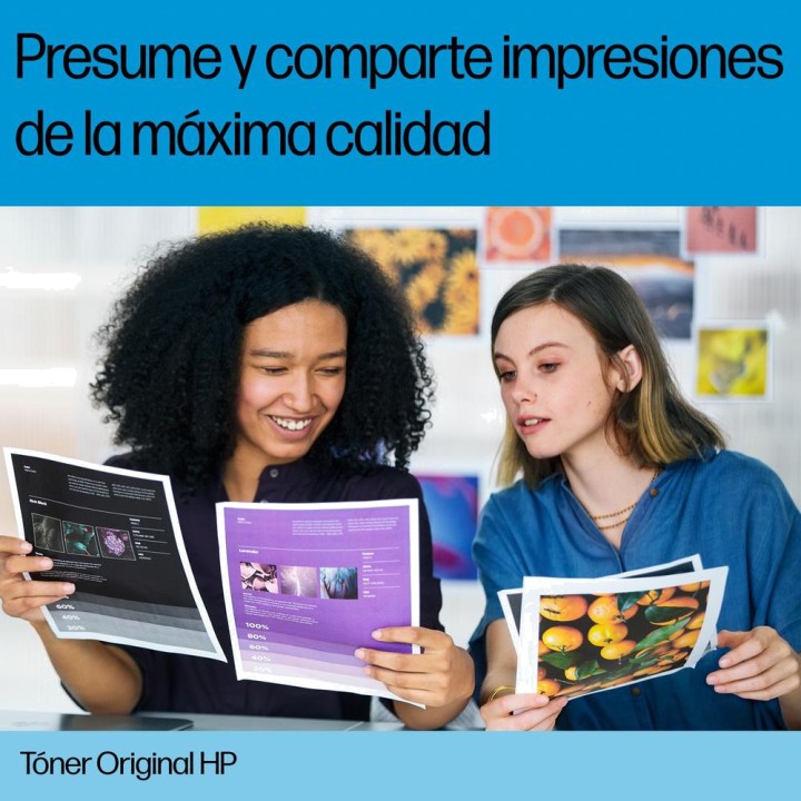 HP Kit fusor de mantenimiento para impresora láser COLOR-LASERJET-220V DSP0000028331